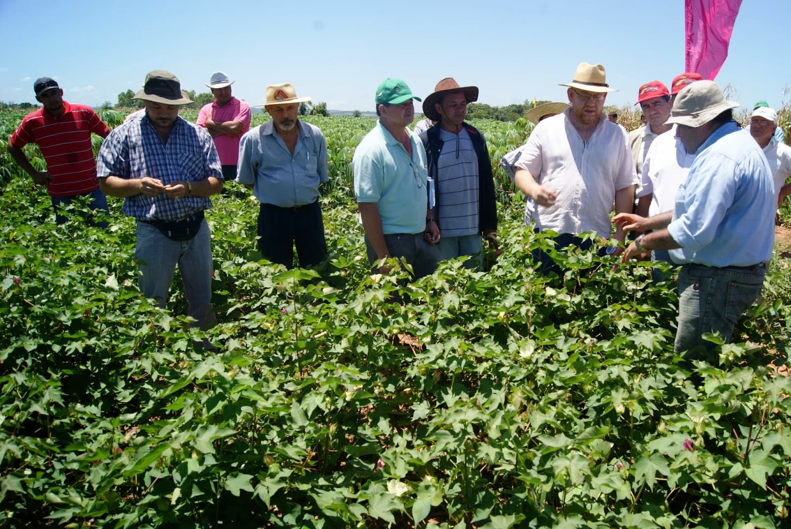 Personas trabajando en el sector agroexportador peruano